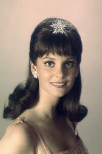 Lesley Ann Warren