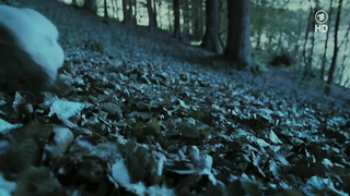 Nina Hoss nackt, erotische Szene aus Das Herz ist ein dunkler Wald (2007)