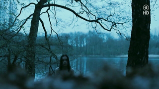 Nina Hoss nackt, erotische Szene aus Das Herz ist ein dunkler Wald (2007)