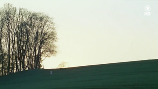 Nina Hoss nackt, erotische Szene aus Das Herz ist ein dunkler Wald (2007)