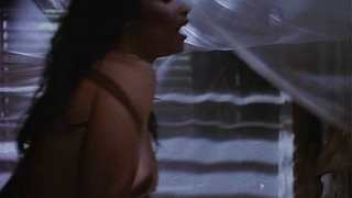 Famosos desnudos » Vanity desnuda - Tales from the Crypt s03e06 (1991)