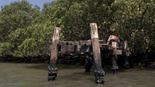 Escena desnuda de Diana Glenn en Oyster Farmer (2004)